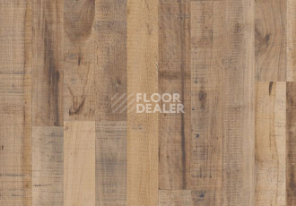 Parador Basic Plus 200 1593726 Каштан Коричневый Винтаж фото 2 | FLOORDEALER