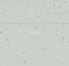 Forbo Sphera Energetic 50229 morning dew фото 2 | FLOORDEALER