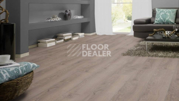 Kronotex Mammut Plus d4727 Дуб Горный Серый фото 4 | FLOORDEALER