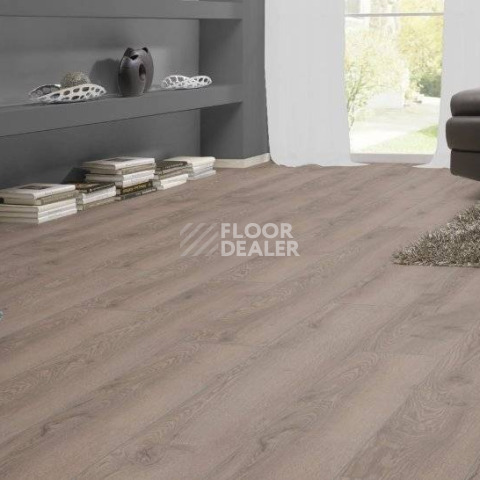 Kronotex Mammut Plus d4727 Дуб Горный Серый фото 4 | FLOORDEALER