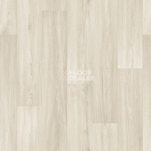 Линолеум Tarkett Club Jane 1 фото 1 | FLOORDEALER