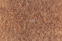 Flotex Colour Penang 50*50 t 382019 Penang Ginger фото 2 | FLOORDEALER