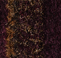 Coral Interior 1513 Savanna Sunset фото 3 | FLOORDEALER