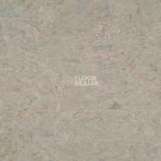 Линолеум Marmorette DLW 2.5mm 121-056 фото 1 | FLOORDEALER