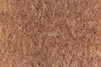 Flotex Colour Penang 50*50 t 382019 Penang Ginger фото 2 | FLOORDEALER
