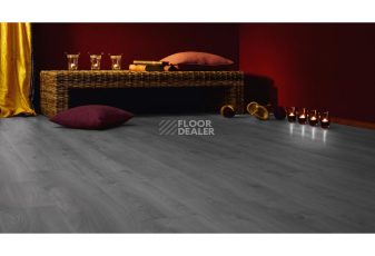 Kronotex Mammut d3670 Дуб Макро Светло-серый фото 5 | FLOORDEALER