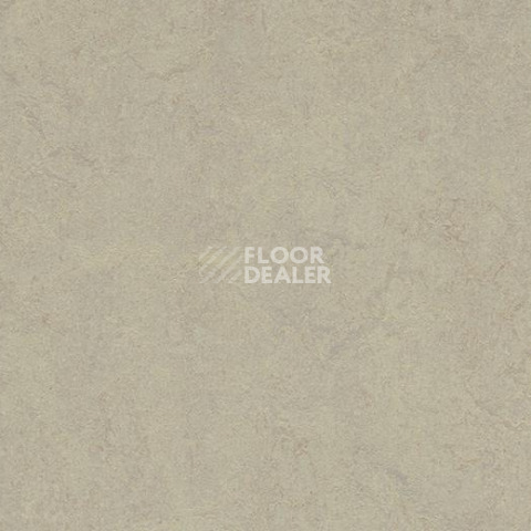 Кварцвиниловые полы Forbo Marmoleum Modular Colour 3887 фото 1 | FLOORDEALER