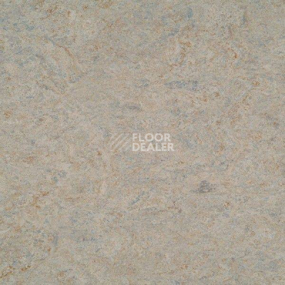 Линолеум Marmorette DLW 2.5mm 121-056 фото 1 | FLOORDEALER