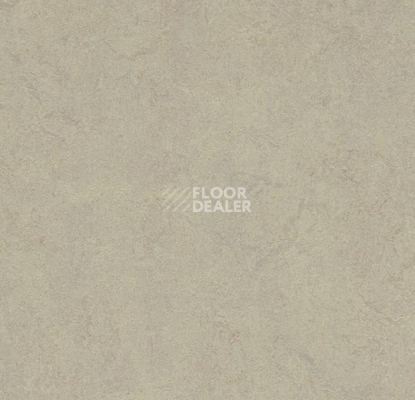 Кварцвиниловые полы Marmoleum Modular Colour 3887 фото 1 | FLOORDEALER