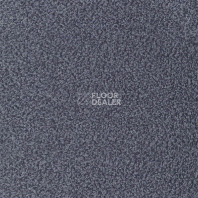 Ковролин Sintelon Velveto 33612 фото 1 | FLOORDEALER
