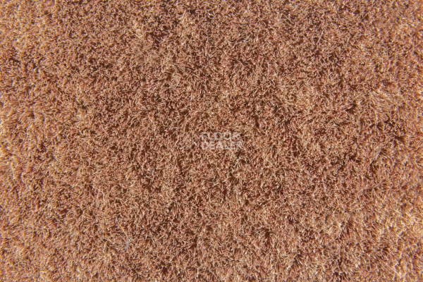 Flotex Colour Penang 50*50 t 382019 Penang Ginger фото 2 | FLOORDEALER