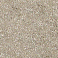 Ковролин Hidden Treasure Beaulie of America Egg Shell 07 фото 1 | FLOORDEALER