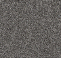 Ковровая плитка Interface Polichrome 7561 Greige фото 1 | FLOORDEALER