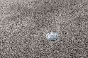 Ковролин Vorwerk Superior 1064/Lyrica Vorwerk 5x83 фото  | FLOORDEALER