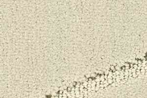 Ковролин Balsan Pavillon 605 фото  | FLOORDEALER