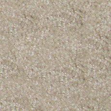 Ковролин Hidden Treasure Beaulie of America Egg Shell 07 фото 1 | FLOORDEALER