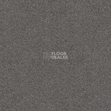 Ковровая плитка Interface Polichrome 7561 Greige фото 1 | FLOORDEALER