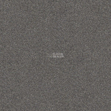 Interface Polichrome 7561 Greige фото 1 | FLOORDEALER