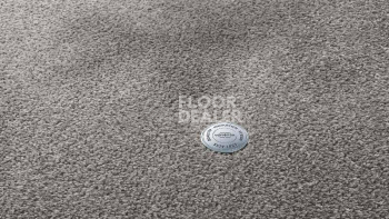 Ковролин Vorwerk Superior 1064/Lyrica Vorwerk 5x83 фото 1 | FLOORDEALER