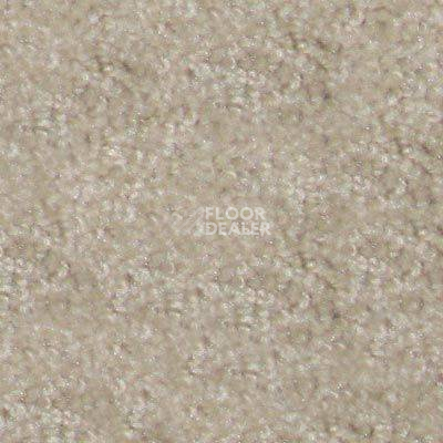 Ковролин Hidden Treasure Beaulie of America Egg Shell 07 фото 1 | FLOORDEALER