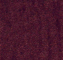 Ковролин AW Radiant 10 фото 1 | FLOORDEALER