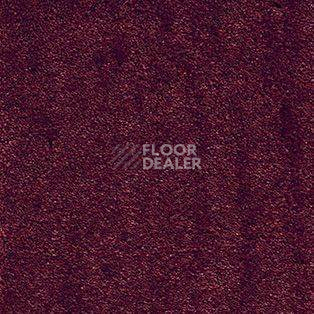 Ковролин AW Radiant 10 фото 1 | FLOORDEALER