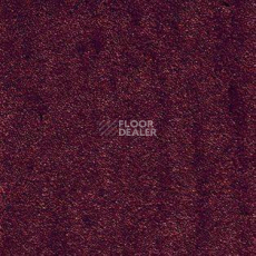 Ковролин AW Radiant 10 фото 1 | FLOORDEALER