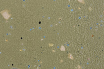 Forbo SureStep Original 172542 moss фото 3 | FLOORDEALER