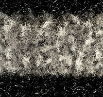 Forbo Coral Duo 9714 Sicilian Sand фото 4 | FLOORDEALER