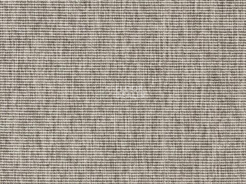 Ковролин Robinia Robinia 6300 92 фото 1 | FLOORDEALER