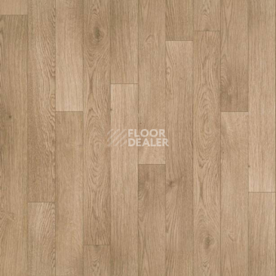 Линолеум Juteks Premium As FALCO_1159 фото 1 | FLOORDEALER