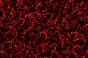 Ковролин Edel Vivaldi 125 фото  | FLOORDEALER