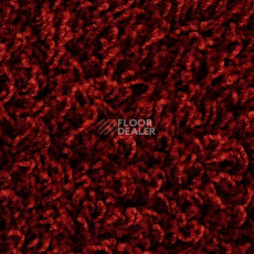 Ковролин Edel Vivaldi 125 фото 1 | FLOORDEALER