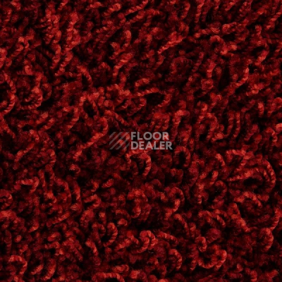 Ковролин Edel Vivaldi 125 фото 1 | FLOORDEALER