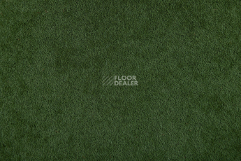 Stone 1635 160 фото 2 | FLOORDEALER