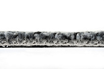 Balsan Take a Walk Rolls 940 фото 4 | FLOORDEALER