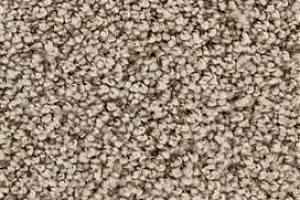 Ковролин Edel Charisma 133 фото  | FLOORDEALER