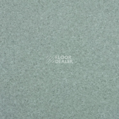 Линолеум Lg Trendy TD12502 фото 1 | FLOORDEALER