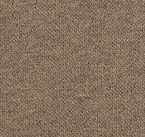 Ковровая плитка DESSO Airmaster Tierra 2925 фото 1 | FLOORDEALER