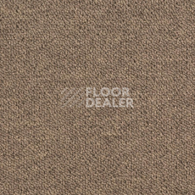 Ковровая плитка DESSO Airmaster Tierra 2925 фото 1 | FLOORDEALER