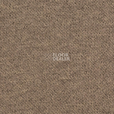 Ковровая плитка DESSO Airmaster Tierra 2925 фото 1 | FLOORDEALER
