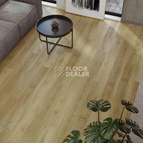 Alpine Floor Eclipse Super Matt 4мм Фраменто Есо 21-10 фото 3 | FLOORDEALER