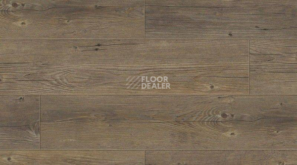 Кварцвиниловые полы Creation 55 Clic 0457_buffalo фото 1 | FLOORDEALER