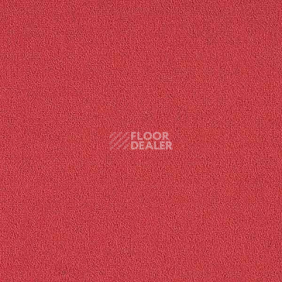 Ковровая плитка Interface Menagerie 304917 фото 1 | FLOORDEALER