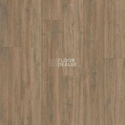 Линолеум Polystyl Polaris FALCON_2 фото 1 | FLOORDEALER