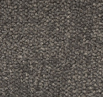 Ковролин AW Prima AW Prima 49 фото 1 | FLOORDEALER