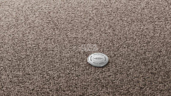 Ковролин Vorwerk Essential 1074/Parma Vorwerk 7g59 фото 1 | FLOORDEALER