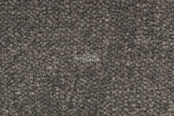 AW Prima AW Prima 49 фото 1 | FLOORDEALER