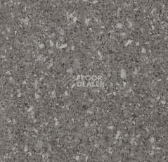 Линолеум Forbo SureStep Stone 17072 фото 1 | FLOORDEALER