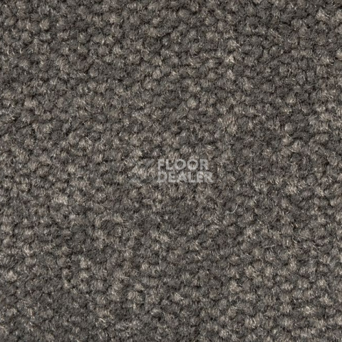 Ковролин AW Prima AW Prima 49 фото 1 | FLOORDEALER